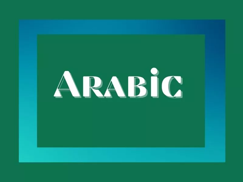 link the library&#039;s Arabic Language Collection 